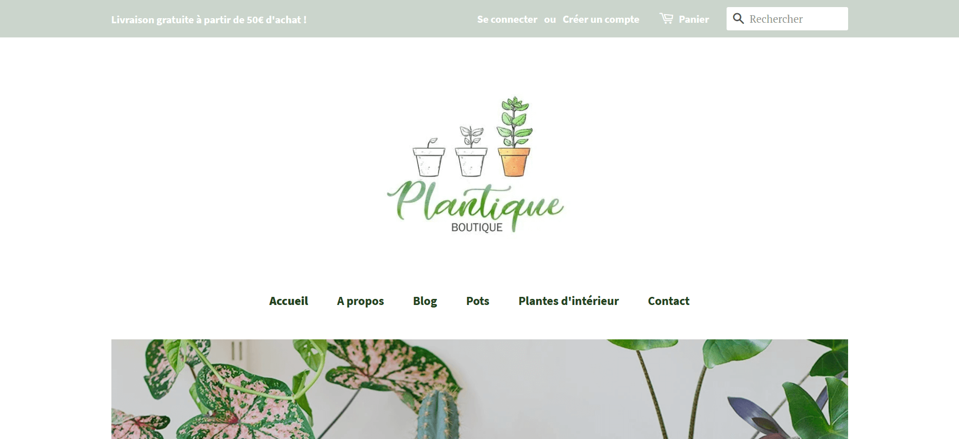 page d'accueil boutique en ligne de plantes vertes